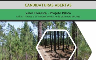Vales Floresta – Projeto Piloto candidatura até 30 dez. 2023