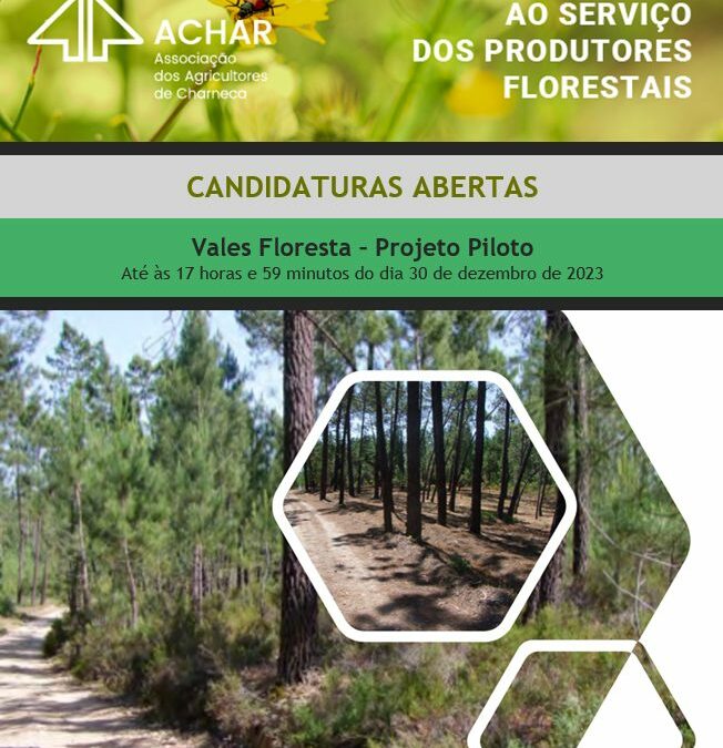 Vales Floresta – Projeto Piloto candidatura até 30 dez. 2023
