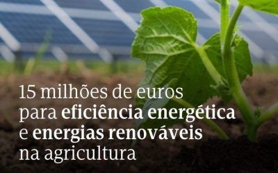 15 milhões de euros para promover a eficiência energética e a utilização de energias renováveis