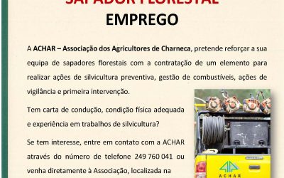 Emprego – Sapador Florestal